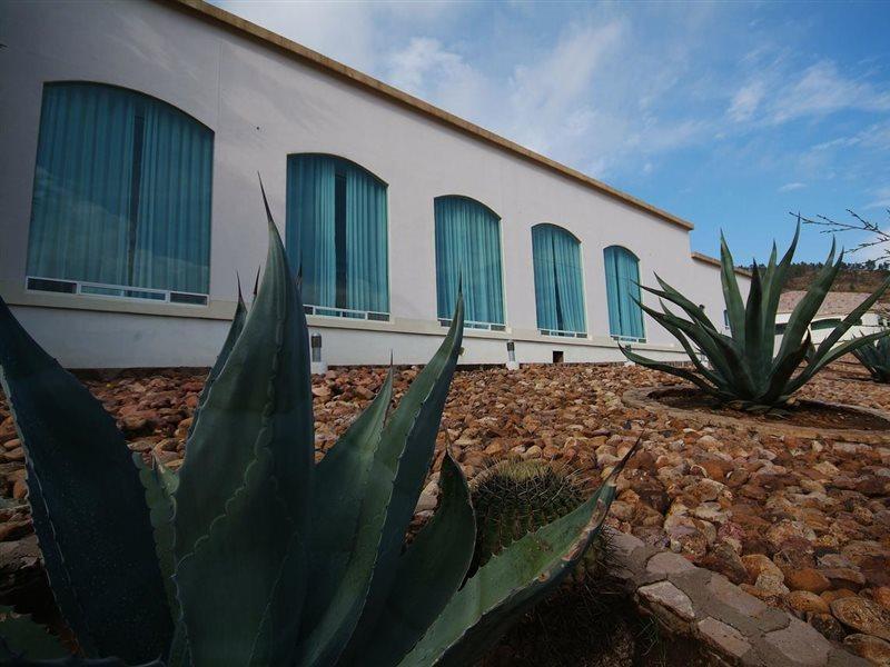 Hotel Baruk Teleferico Centro Historico Zacatecas Ngoại thất bức ảnh
